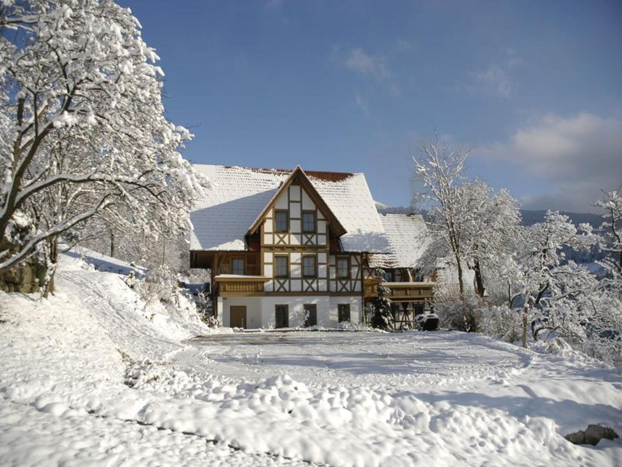 Baeuerlehof Hotel Seebach Exterior photo