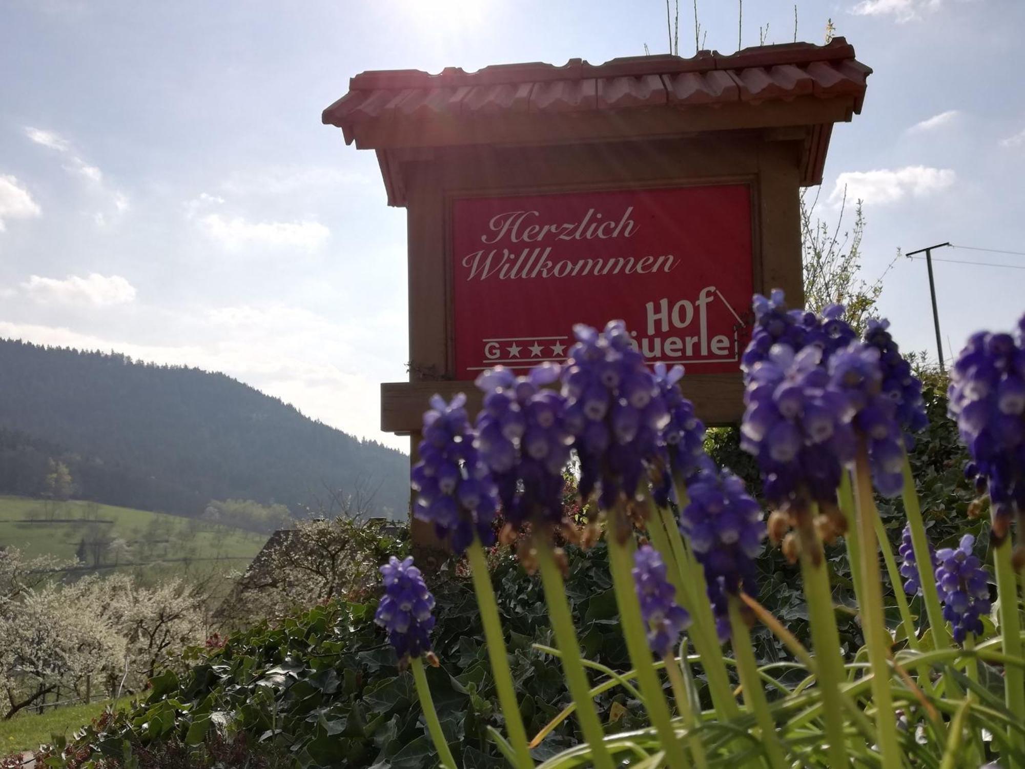 Baeuerlehof Hotel Seebach Exterior photo