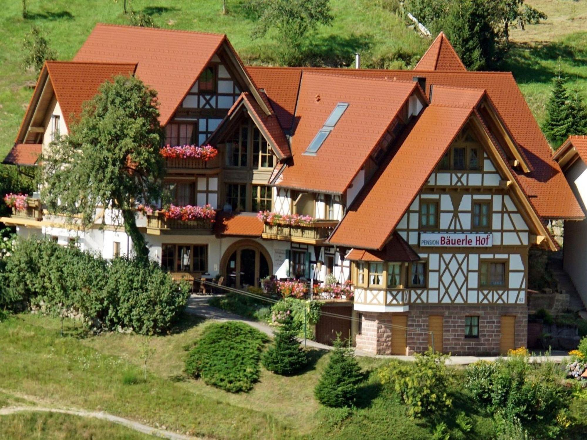 Baeuerlehof Hotel Seebach Exterior photo